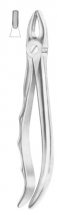  Fig. 1 upper laterals and canines 